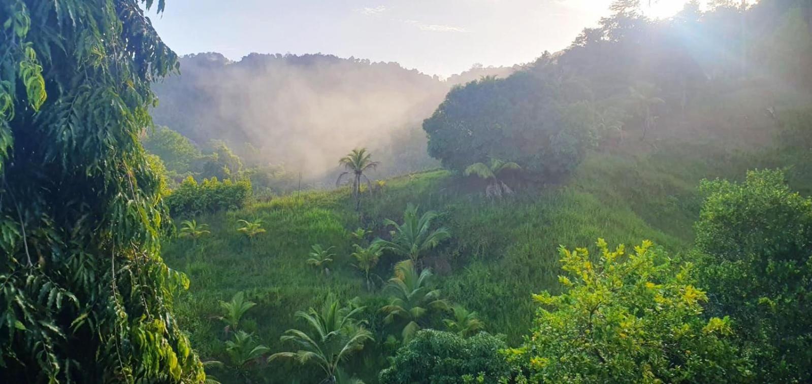 Las Cuevas Beach Lodge Dış mekan fotoğraf