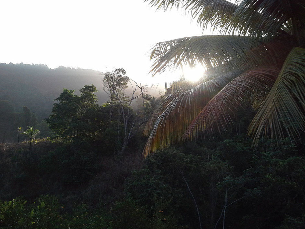 Las Cuevas Beach Lodge Dış mekan fotoğraf